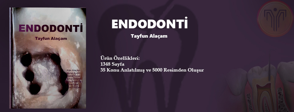 Endodonti